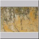 Mellinus arvensis - Kotwespe w48a Nester in Steilwand - Sandgrube Niedringhaussee.jpg